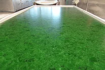 Forest Green Slab
