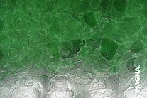 Forest Green pure